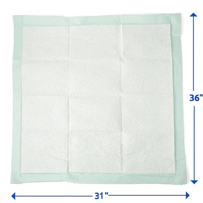 Large disposable underpad 31x36 inches with absorbent white surface and light green border