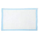 Disposable underpad for medical or home care, white with blue border, absorbent surface