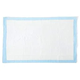 Disposable underpad for medical or home care, white with blue border, absorbent surface