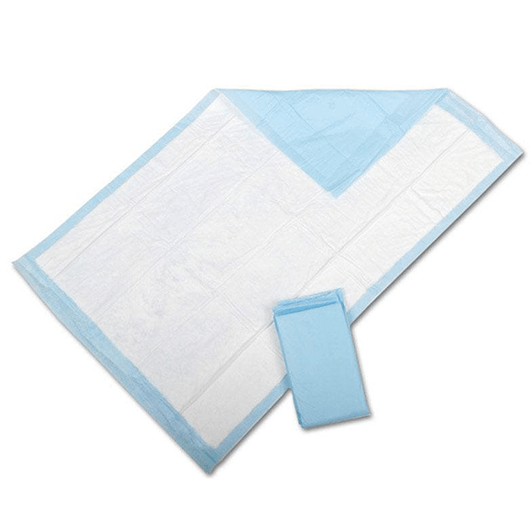 MSC281241