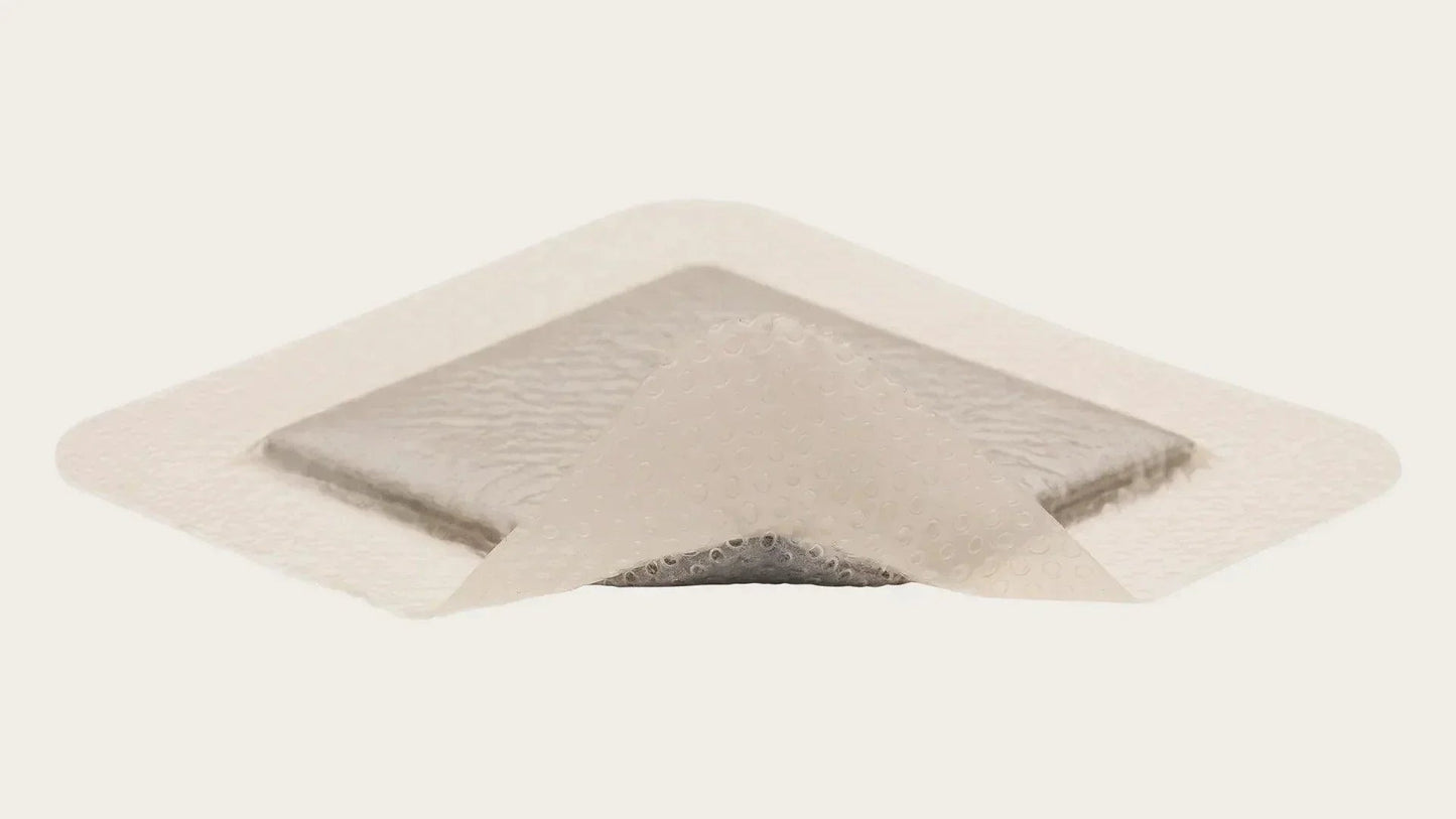Sterile adhesive wound dressing pad with transparent border on white background